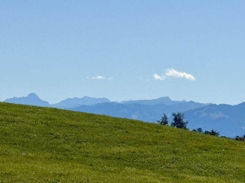 Grüne Hügel mit Alpenpanorama im Allgäulazy