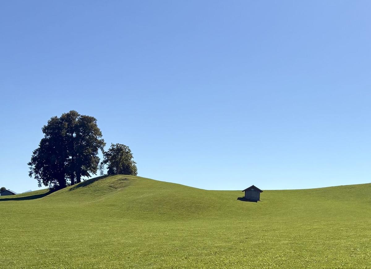 Wiese mit Heustädel und Baumgruppe im Unterallgäu